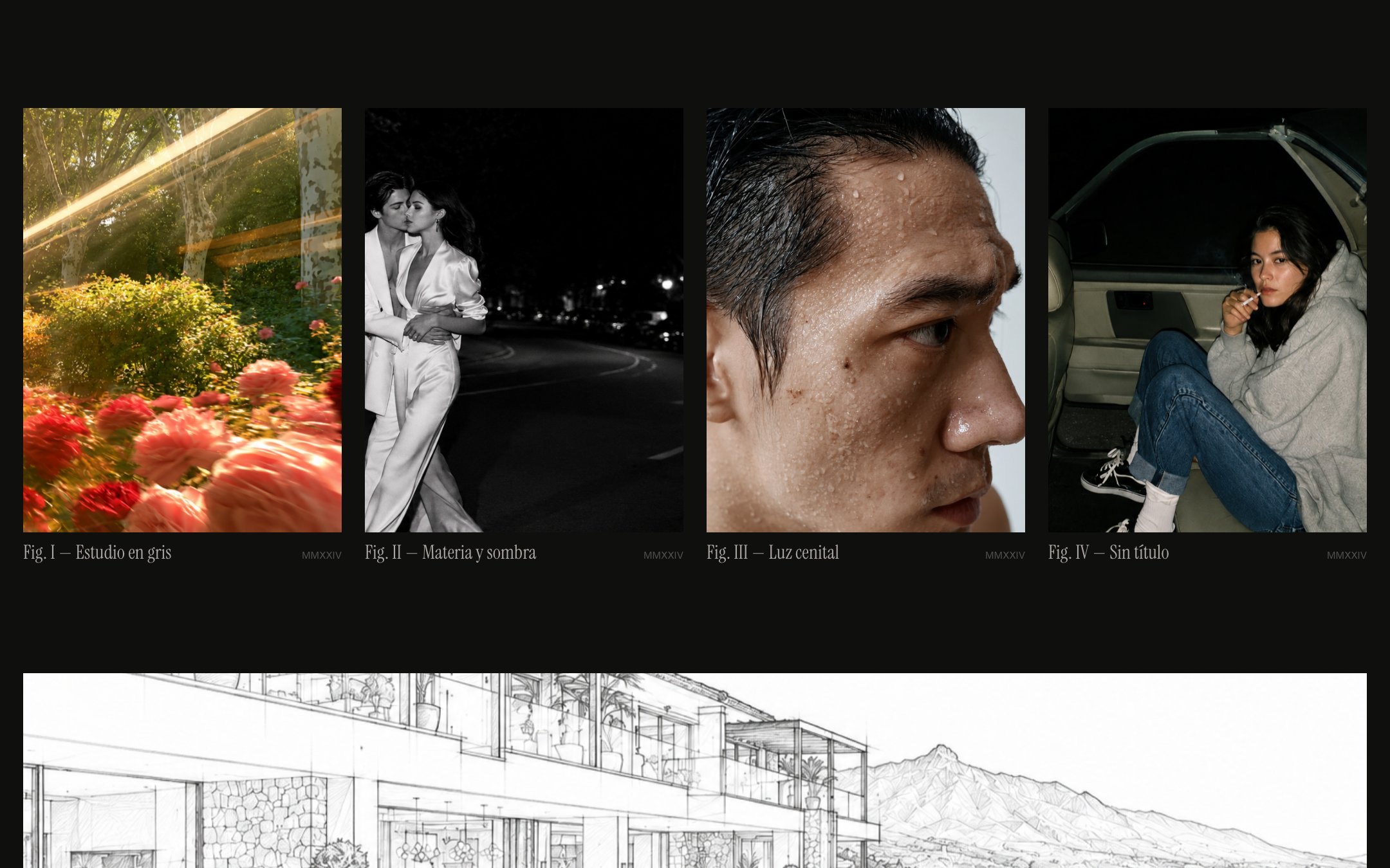 Galería Paralaje